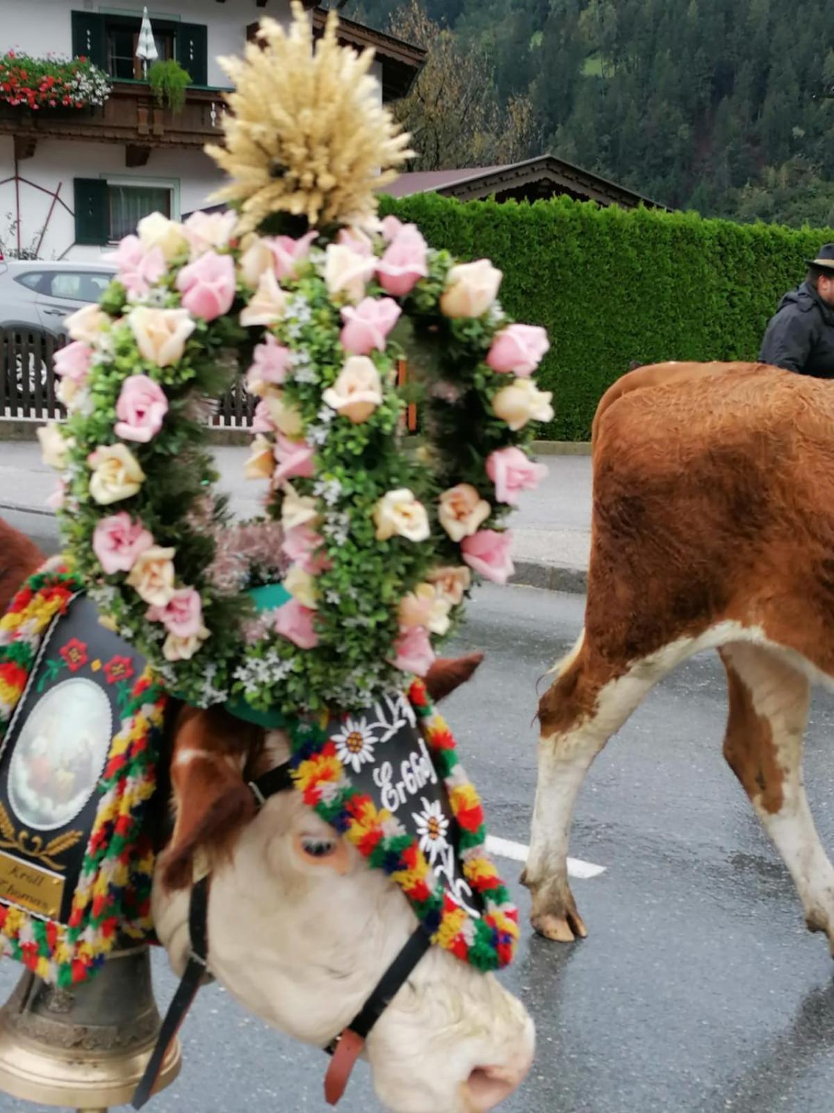Eberharter Conny * Zell am Ziller